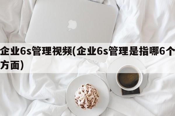 企业6s管理视频(企业6s管理是指哪6个方面)